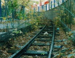 The track remains on about half the loop. It is in quite good shape except for some overgrown trees here and there. November 2003. Photo JP Charrey