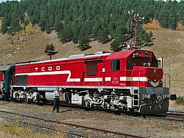 DE22023 on Ezurum Kars Karma, at Soğanlı. 29 September 2001, 7H45. Photo Stan Lelan, courtesy of Phil Wormald