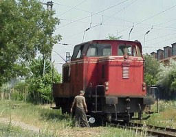 DH33119