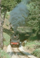 57011